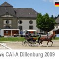 CAI A Dillenburg Dressage EMOTION Picture